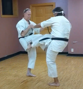 Kicking Technique